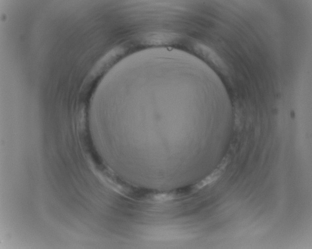 X0000071960163200607282042