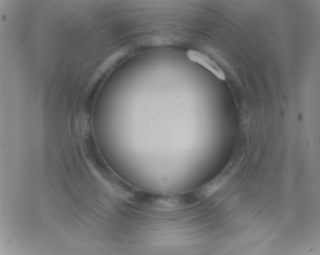 X0000071960164200607282042