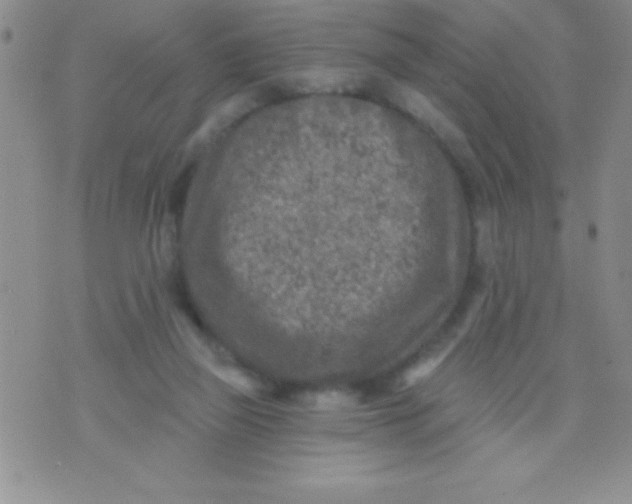 X0000071960165200607282042