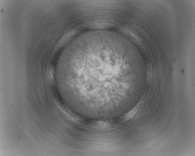 X0000071960166200607282042