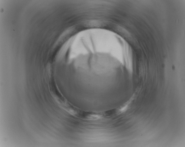 X0000071960167200607282042