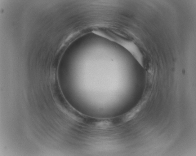 X0000071960168200607282042