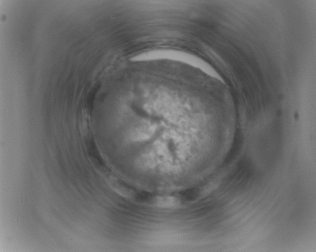 X0000071960169200607282042