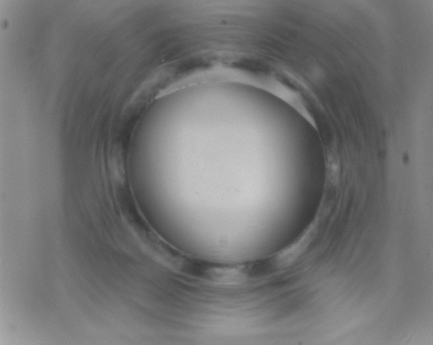 X0000071960170200607282042