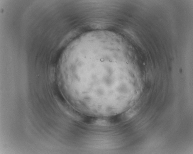 X0000071960171200607282042