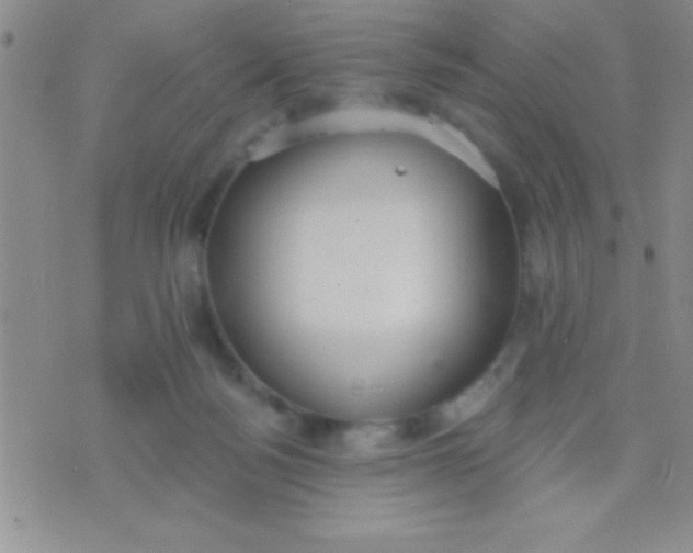 X0000071960172200607282042