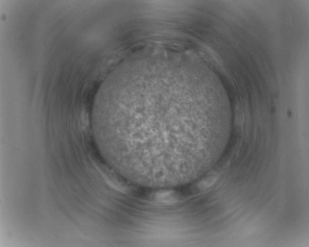 X0000071960173200607282042