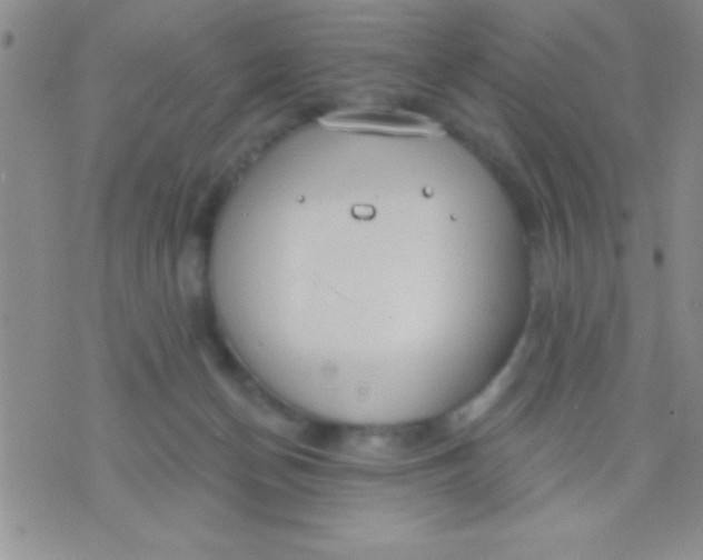 X0000071960174200607282042