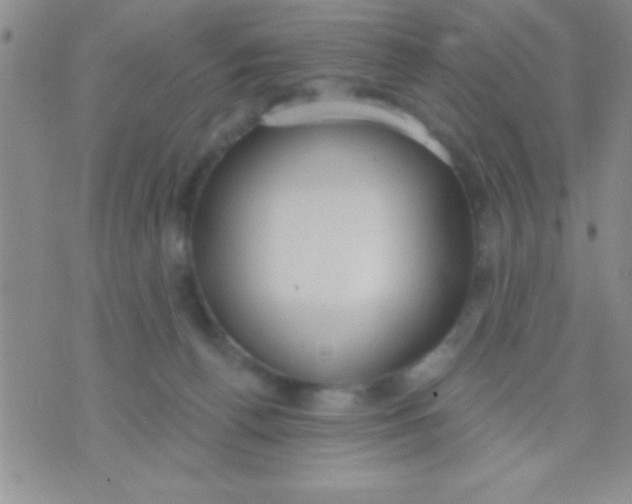 X0000071960176200607282042