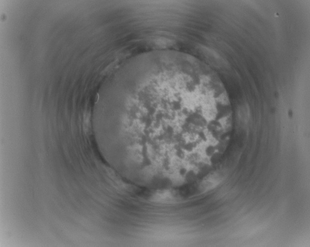 X0000071960177200607282042