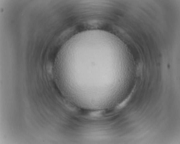 X0000071960178200607282042