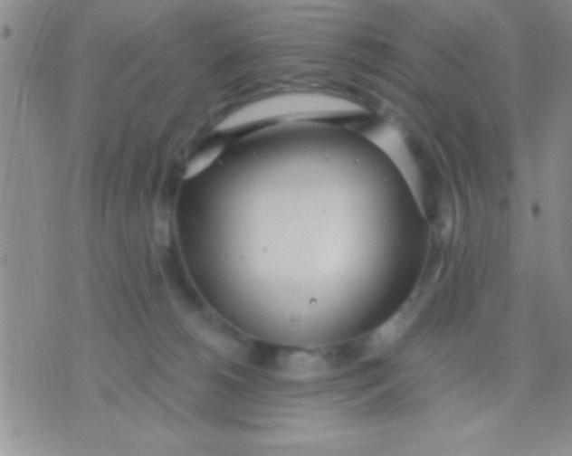 X0000071960180200607282042