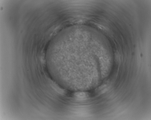 X0000071960181200607282042