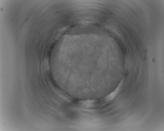 X0000071960182200607282042