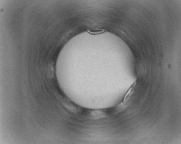 X0000071960183200607282042