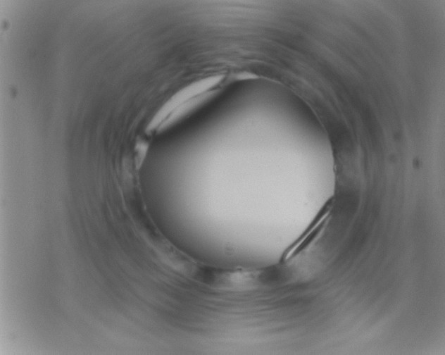 X0000071960184200607282042