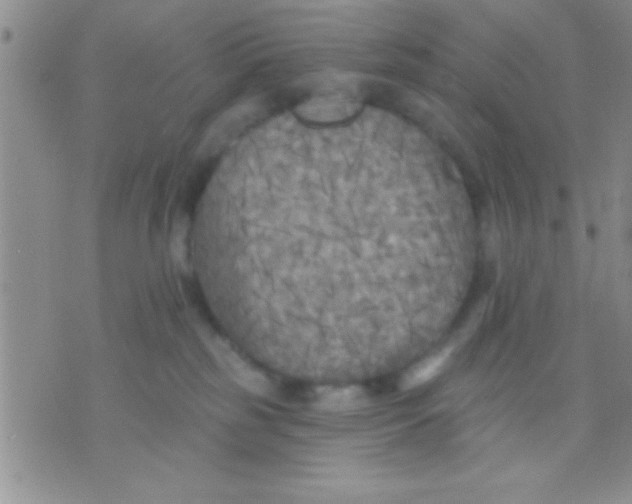 X0000071960185200607282042