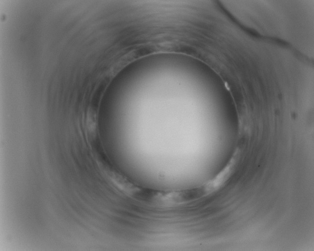 X0000071960186200607282042