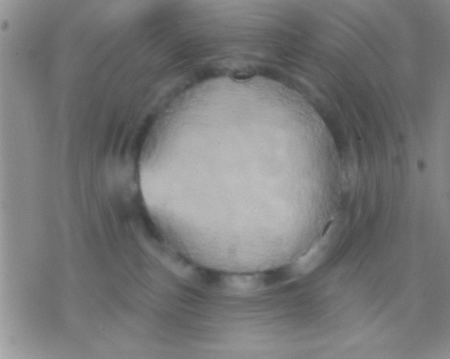 X0000071960187200607282042