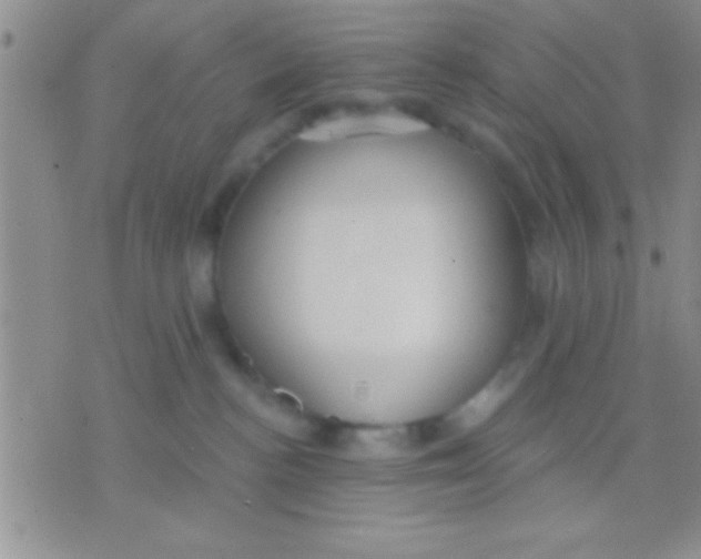 X0000071960188200607282042