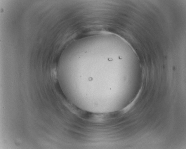 X0000071960190200607282042