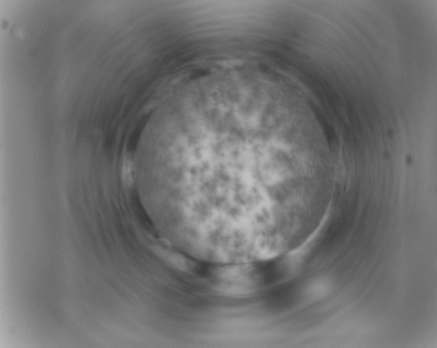 X0000071960191200607282042