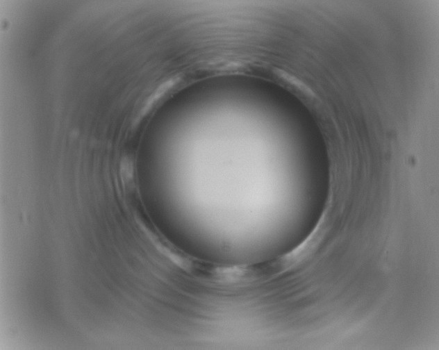 X0000071960192200607282042