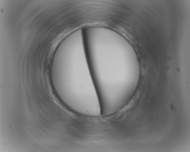 X0000071960193200607282042