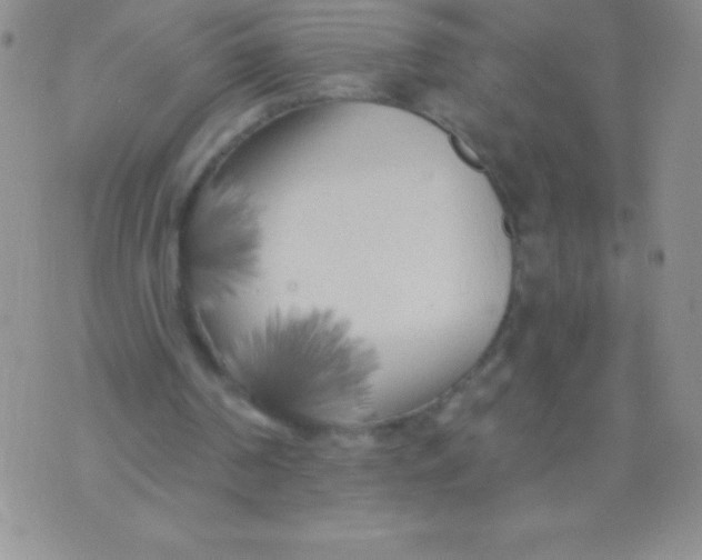 X0000071960194200607282042