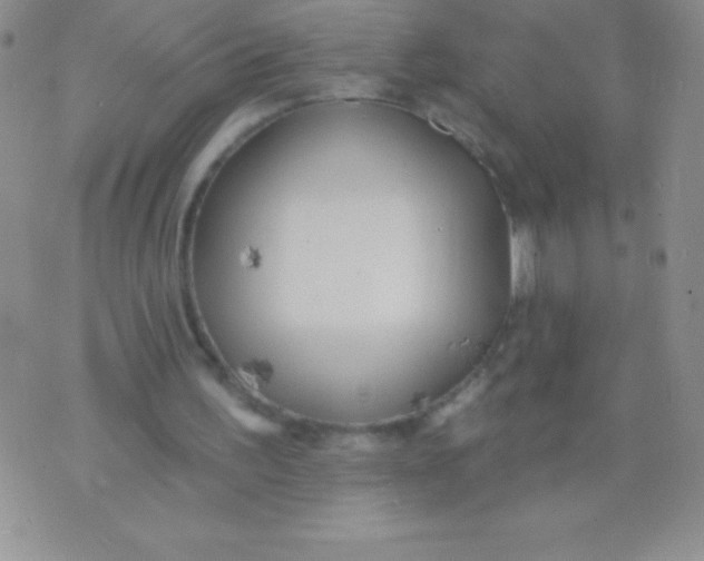 X0000071960195200607282041