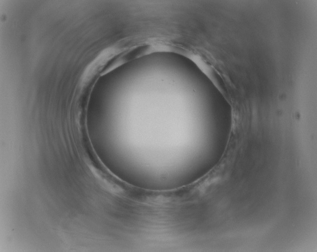 X0000071960197200607282041