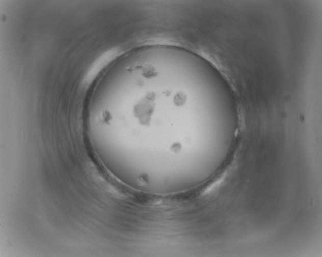 X0000071960199200607282041