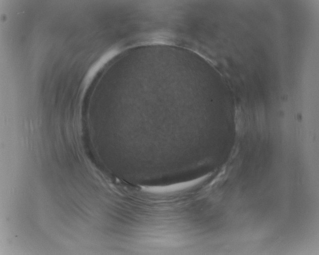 X0000071960200200607282041