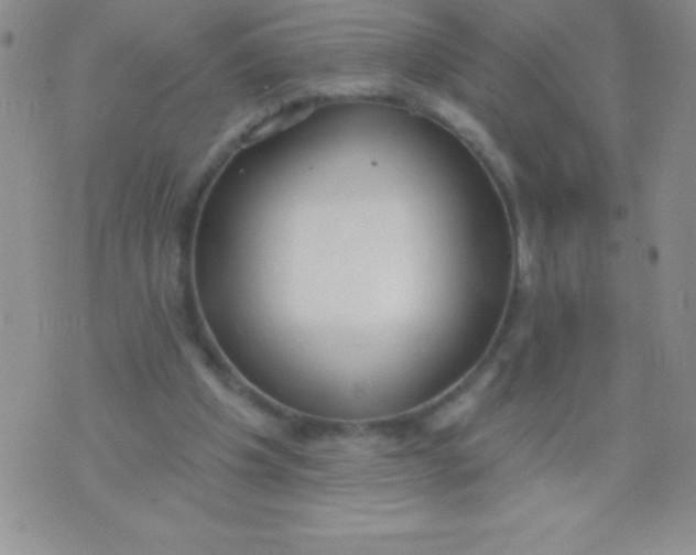 X0000071960201200607282041