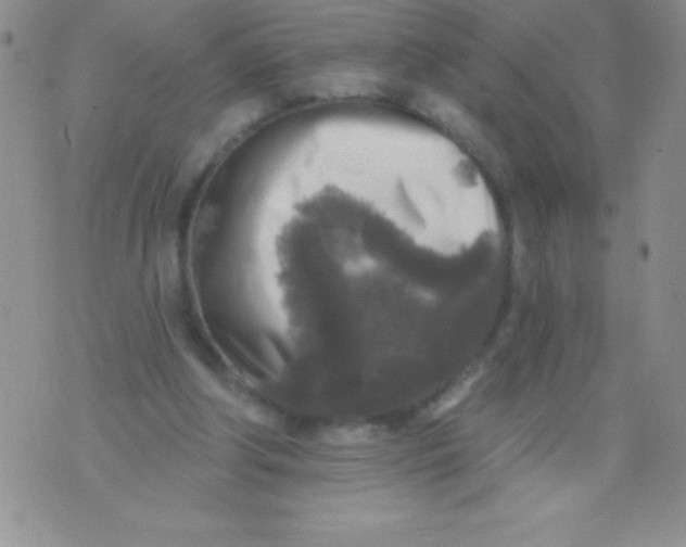 X0000071960202200607282041