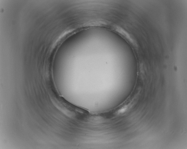 X0000071960203200607282041