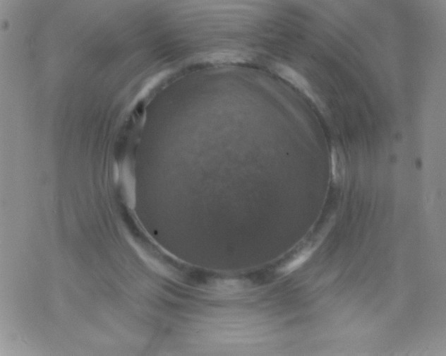 X0000071960205200607282041