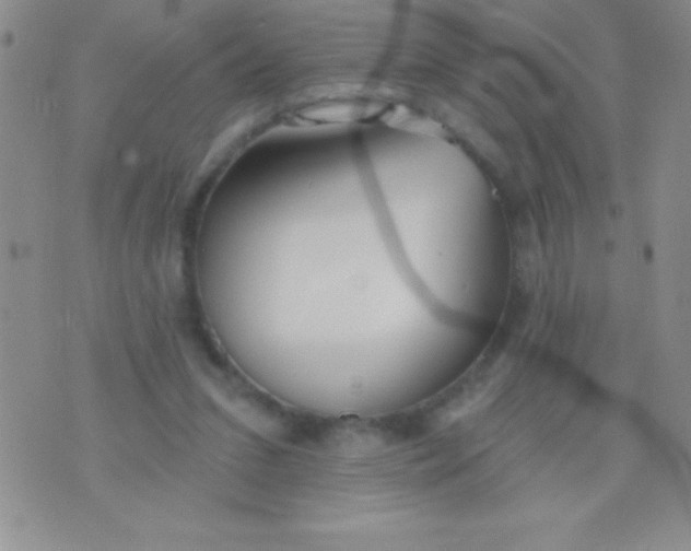 X0000071960207200607282041