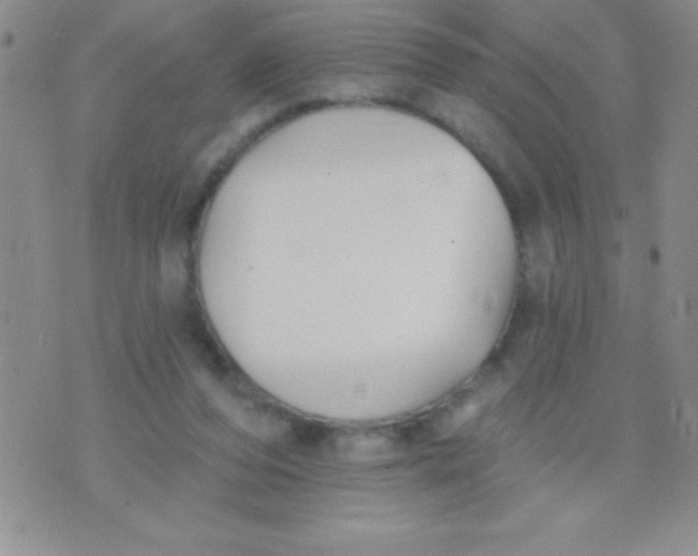 X0000071960208200607282041