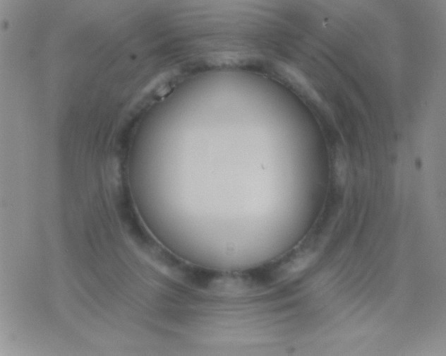 X0000071960211200607282041