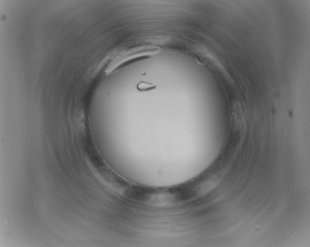 X0000071960212200607282041