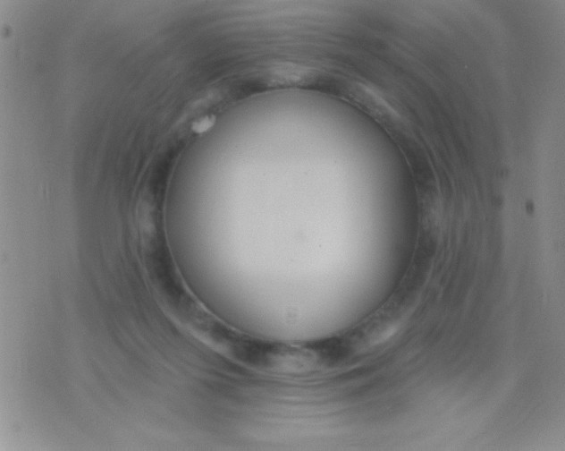 X0000071960215200607282041