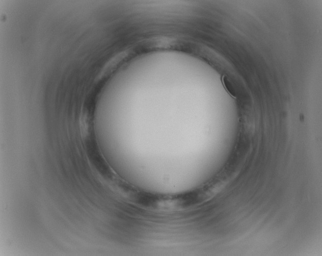 X0000071960216200607282041