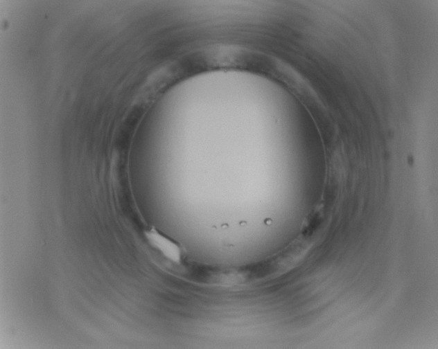 X0000071960217200607282041