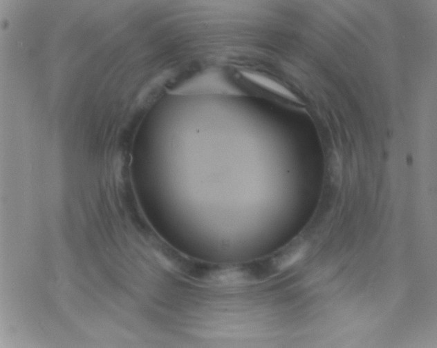 X0000071960219200607282041