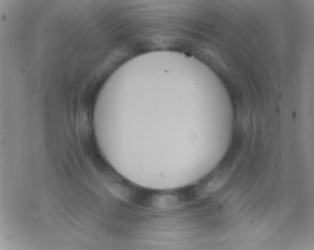 X0000071960220200607282041