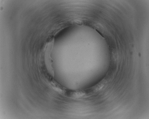 X0000071960223200607282041