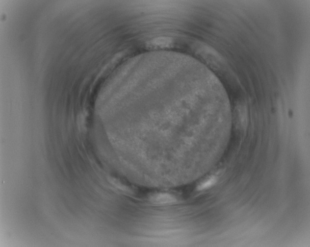 X0000071960224200607282041