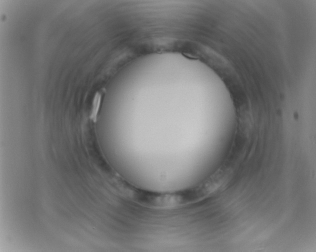 X0000071960225200607282041