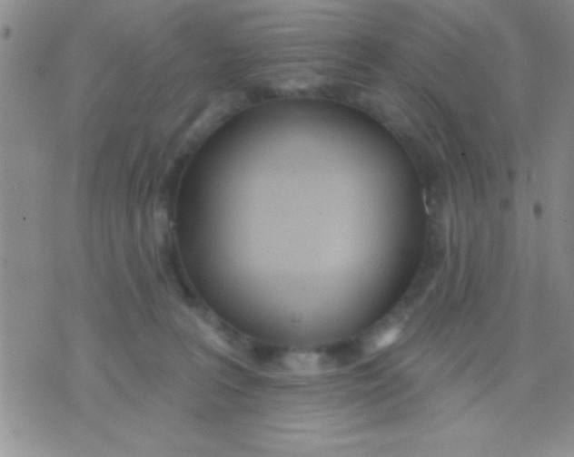 X0000071960227200607282041